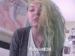 Bluebird0316
