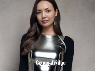 Breeestridge