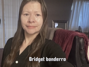 Bridget_banderro