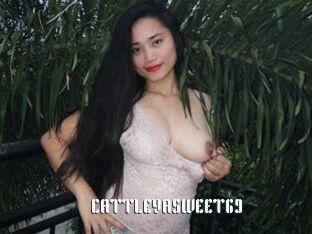CATTLEYASWEET69 1 grosse chatte