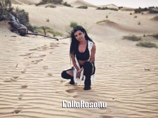 CallaRosanu