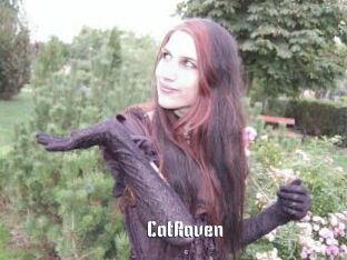 CatRaven