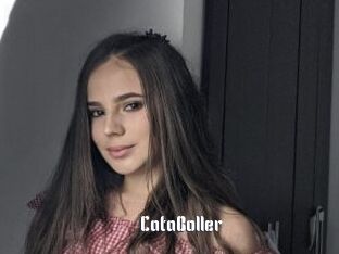 CataBoller