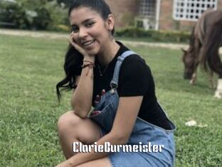 ClarieBurmeister