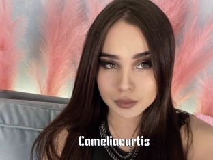 Cameliacurtis