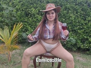Camicasttle