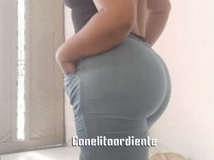 Canelitaardiente