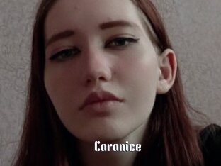 Caranice