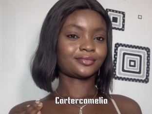 Cartercamelia