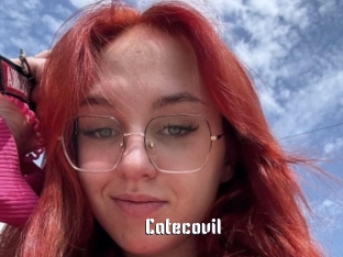 Catecovil