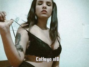 Catleya_x18