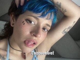 cazzuvelvet 1 grosse chatte