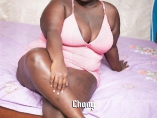 Chany