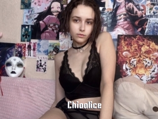 chioalice 1 grosse chatte