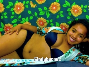 Cindybarnes