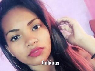 Cokinas