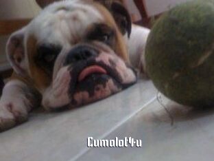 Cumalot4u