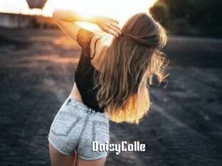 DaisyColle