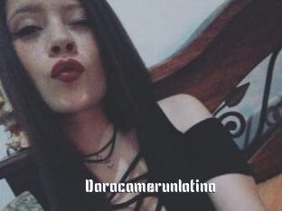 Daracamerunlatina