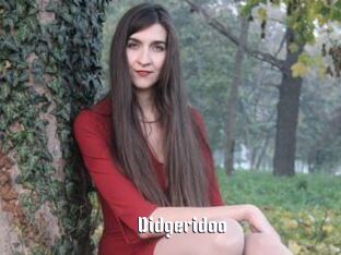 Didgeridoo