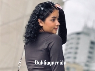 Dahliagarrido