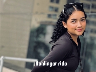Dahliagarrido