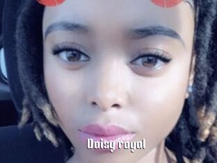 Daisy_royal