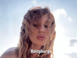 Daisyburge