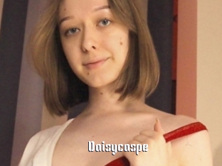 Daisycaspe