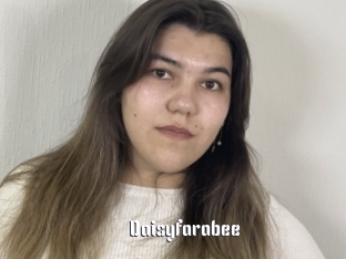 Daisyfarabee