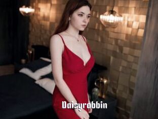 Daisyrobbin
