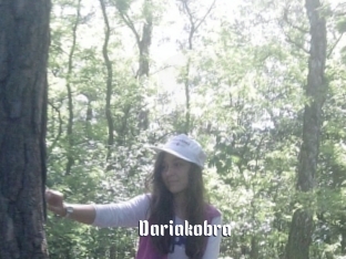Dariakobra