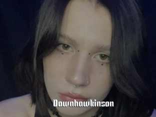 Dawnhawkinson