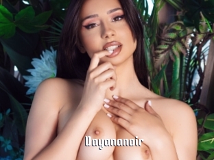 Dayananoir