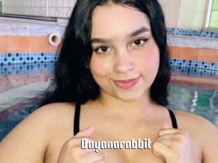 Dayanarabbit