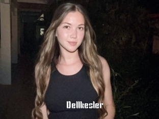 Dellkesler