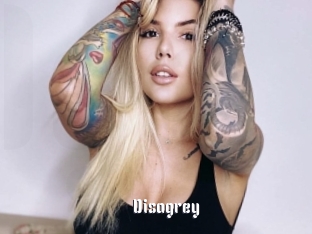 Disagrey