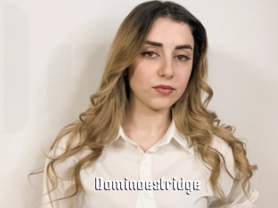 Dominoestridge