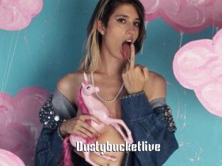 Dustybucketlive
