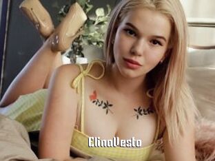 ElinaVesto