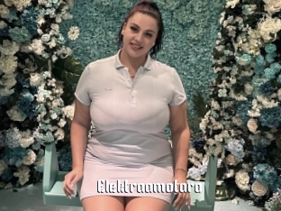 Elektraamotaro