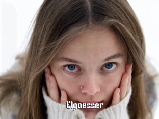 Elgaesser