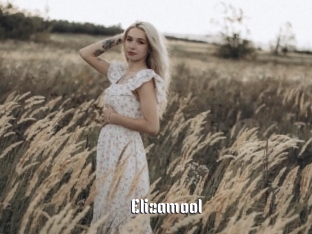 Elizamool