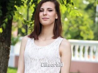 Ellieorhid