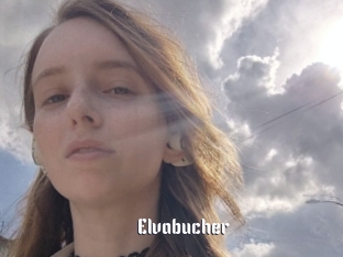 Elvabucher