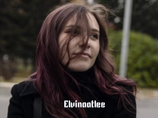 Elvinaatlee