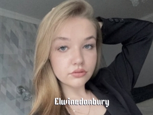 Elwinedanbury