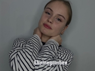 Elwinegambee