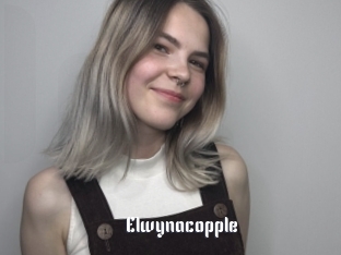 Elwynacopple
