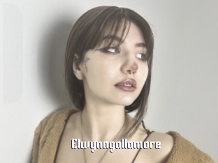 Elwynagallamore